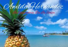 Awilda Hernandez – El Sabor De Mi Piña