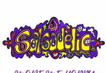 Salsadelic – Made Me Happy