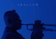 Shallow – Richie Vee feat. Nina Dilet.