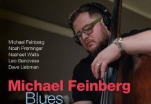 Michael Feinberg – Blues Variant