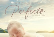 Proyecto Sur – Perfecto