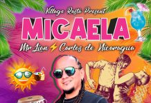 Mr Lion – Micaela