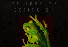 Salsaone – Peligro De Extinción