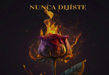 Amid – Nunca Dijiste