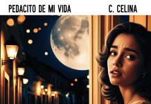 C. Celina – Pedacito De Mi Vida