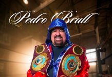 Pedro Brull – Revalidando