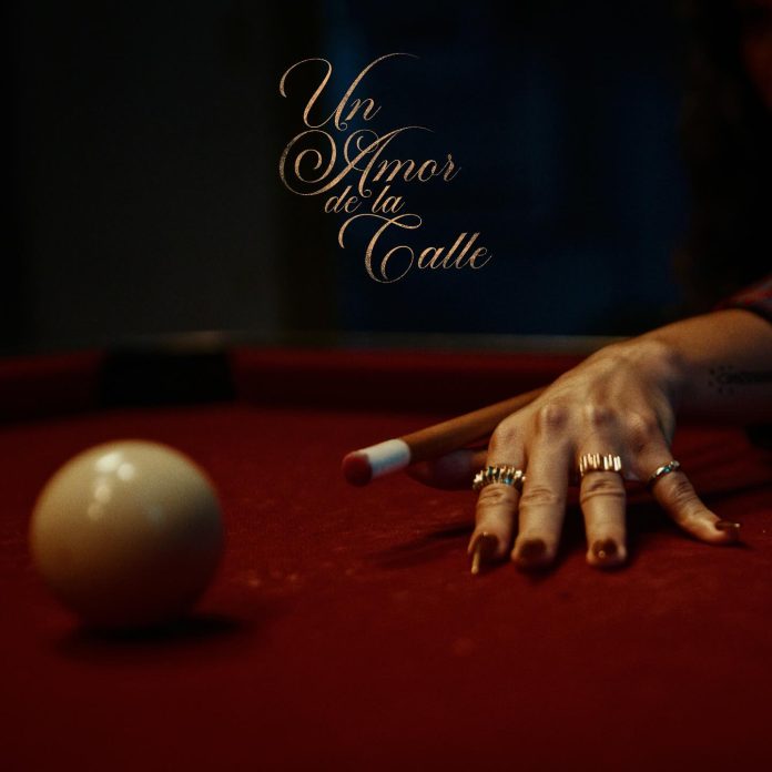 529915253_18519112744007982_588232375333252905_n