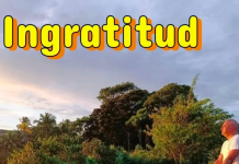 Johnny Freyre – Ingratitud