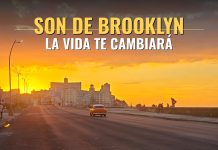 Son De Brooklyn – La Vida Te Cambiará