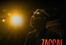 Zaccai Curtis – Sonoluminescence Vol. 1