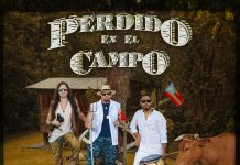 Conciencia Clásica – Perdido en el Campo