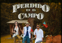 Conciencia Clásica – Perdido en el Campo