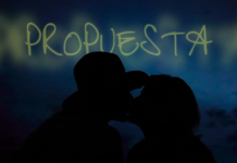 Mario y Su Tres – Propuesta