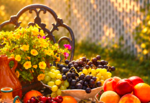 Claudia Lenti – Antipasto